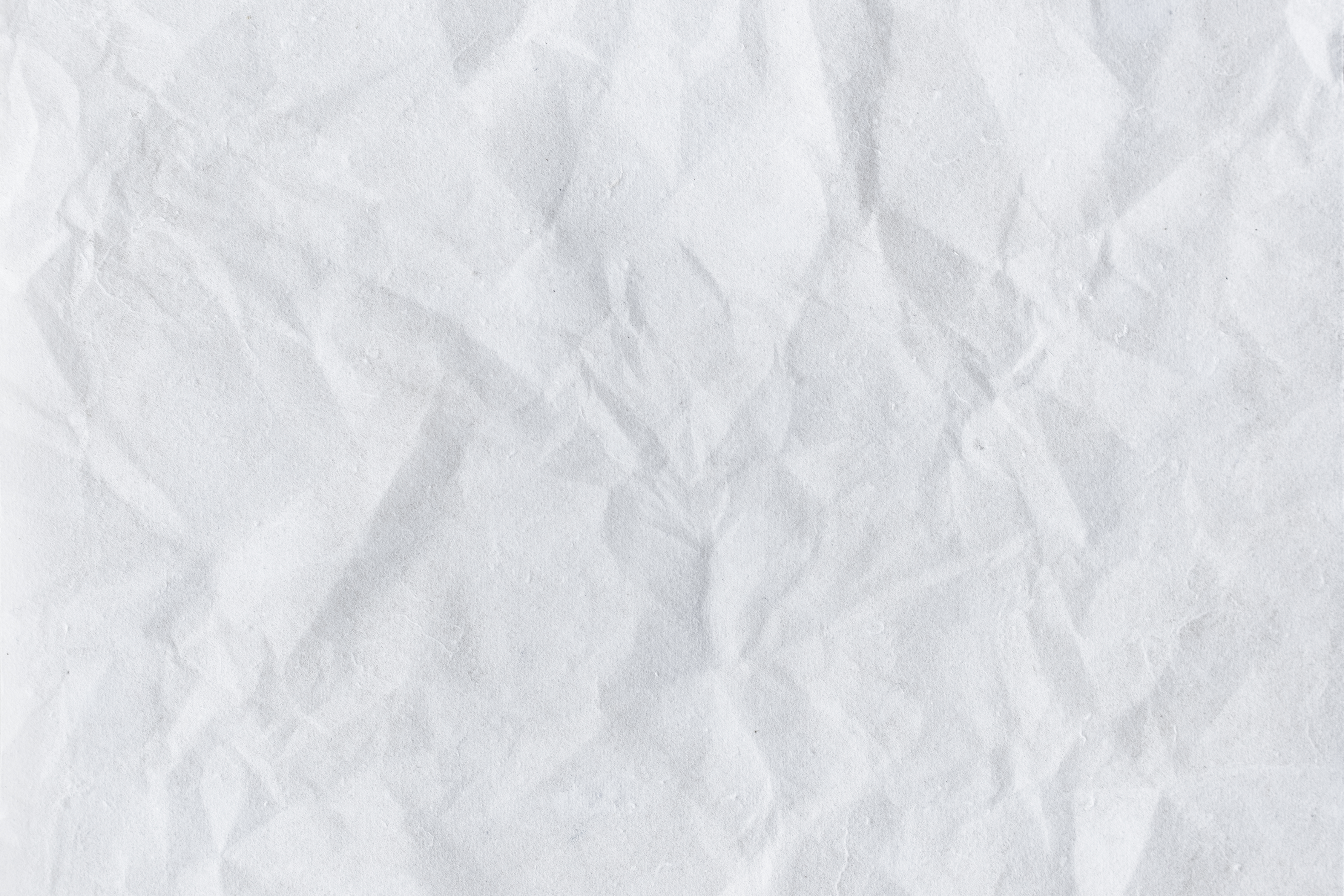 fondo