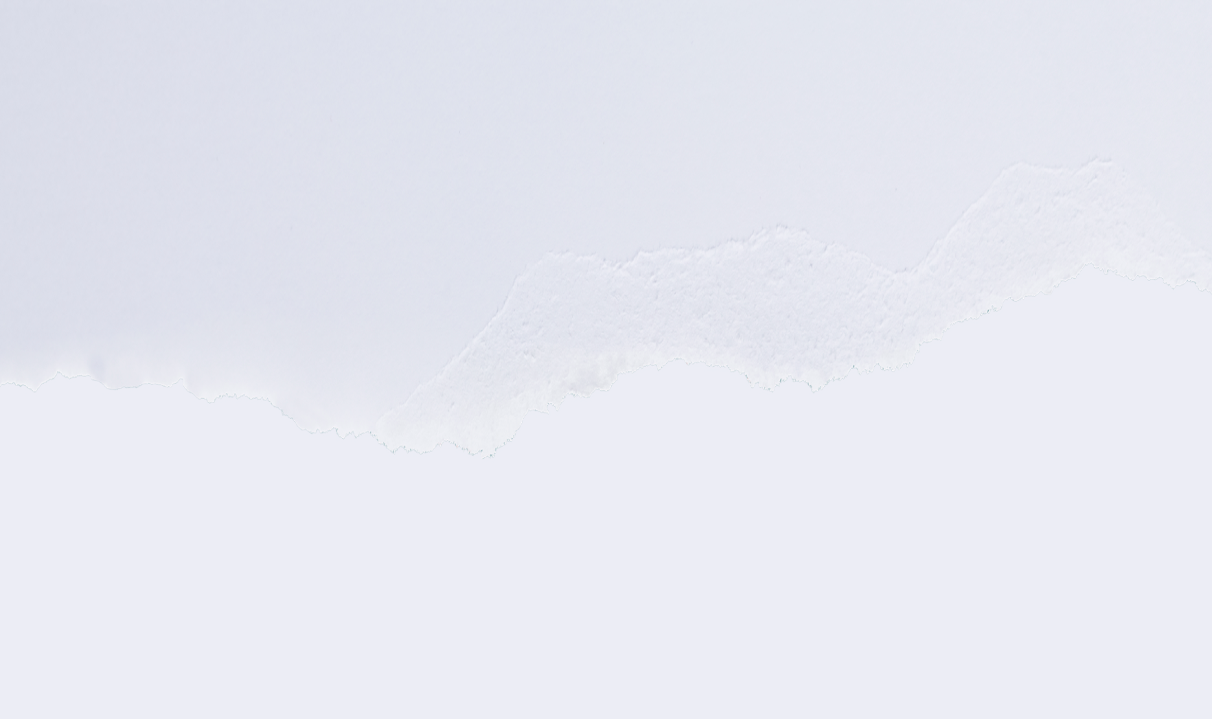 fondo